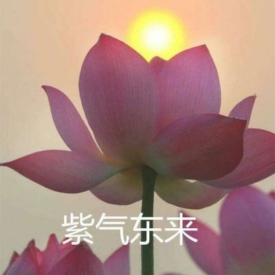 防闪大师最新版